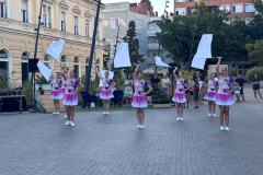 IMG-T-47